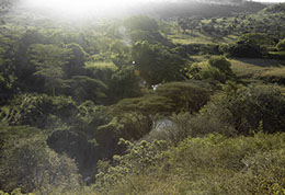 View from Baboon Overlook in Nairobi National Park, Kenya